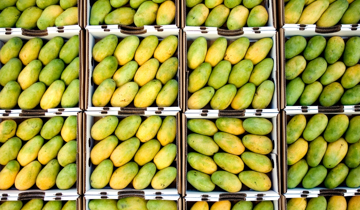 Souq Waqif to Host 2nd Edition of ‘Hamba’ Mango Exhibition Celebrating Pakistan’s Finest